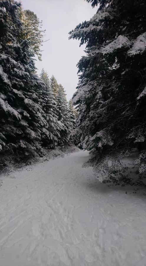 Auberge De Thelis Экстерьер фото